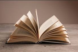 about book insights and experience